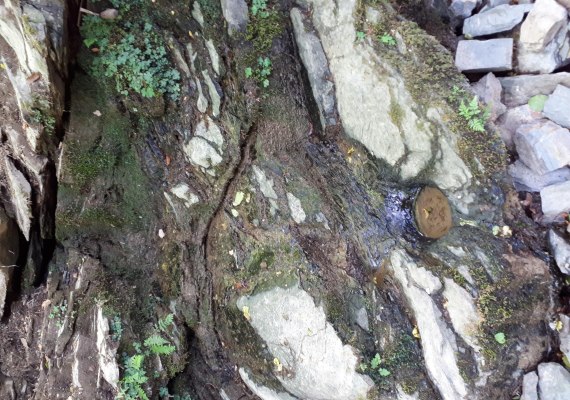 Schessels-Beersche Felsen | © G. Liesenfeld
