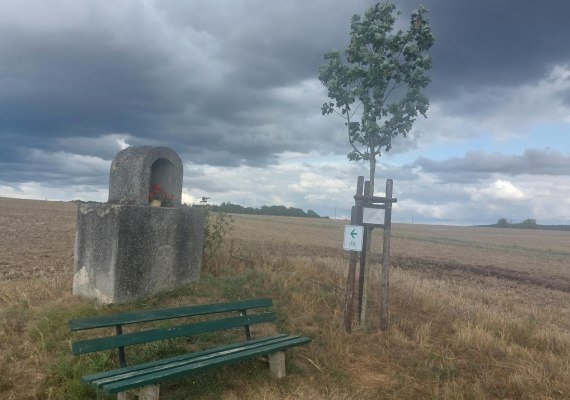 Ruhebank am Heilijehäusje | © T. Biersch