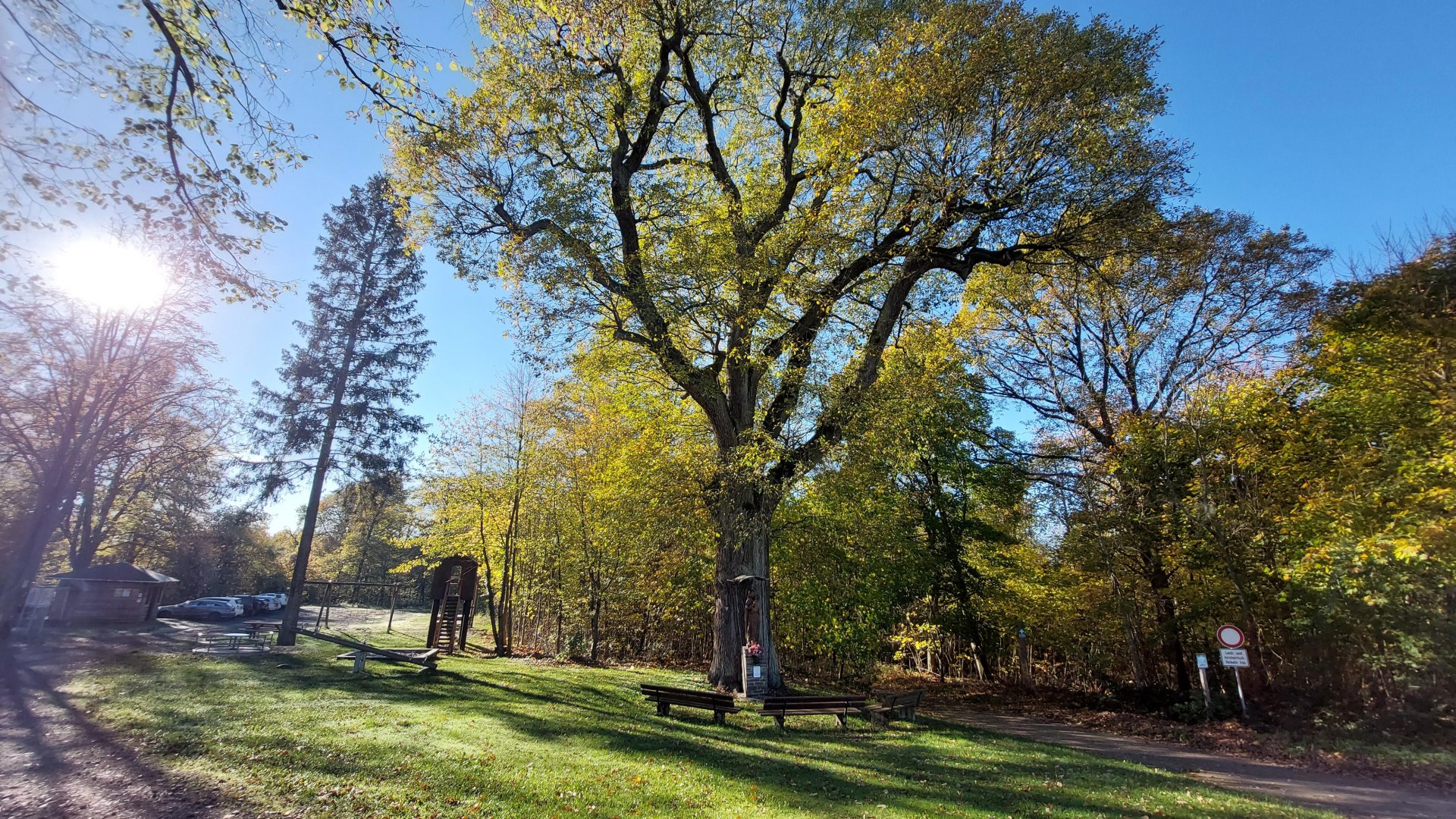 Platz an der alten Eiche | © T. Biersch Platz an der alten Eiche | © T. Biersch