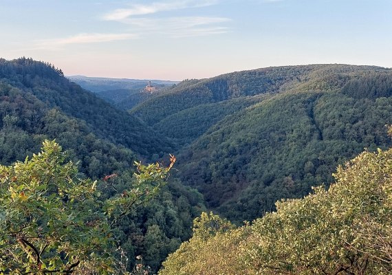 Blick ins Ehrbachtal | &copy; TI Hunsr&uuml;ck-Mittelrhein