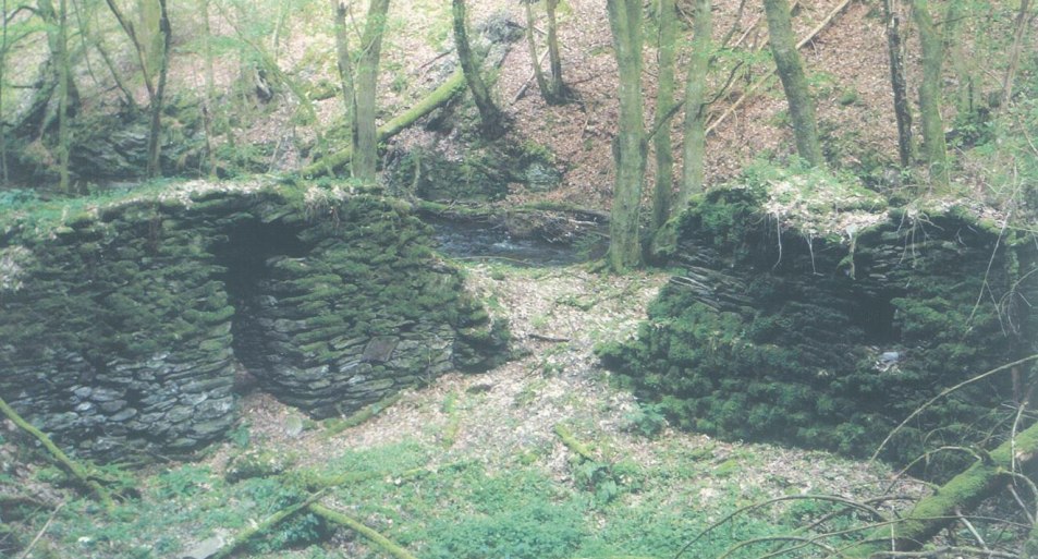 Ruine  Reizenm&uuml;hle | &copy; T. Biersch