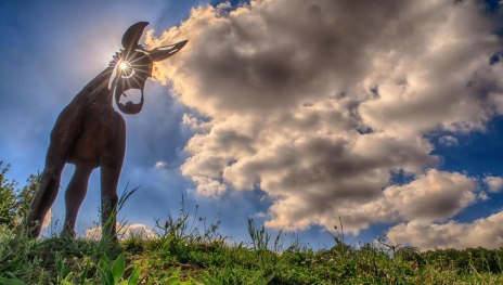 Murscher Stahlesel | &copy; Klaus Breitkreutz