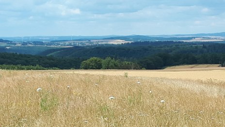 Fernblick am Wanderweg | &copy; G. Liesenfeld