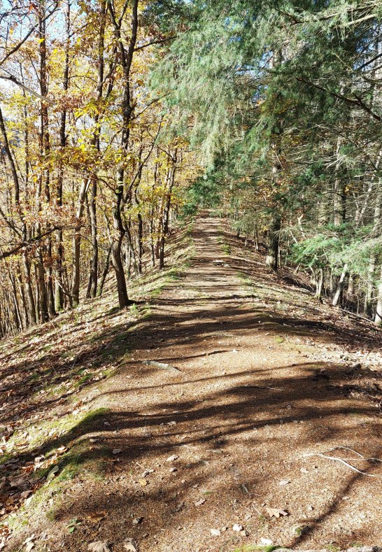 Haaks K&uuml;ppsche im Herbst | &copy; T. Biersch