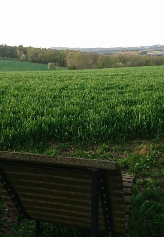 Ehrbachblick | &copy; B. Vogt