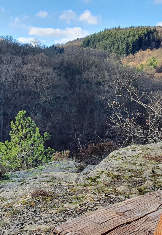 Fernblick von der Kieslei | © T. Biersch