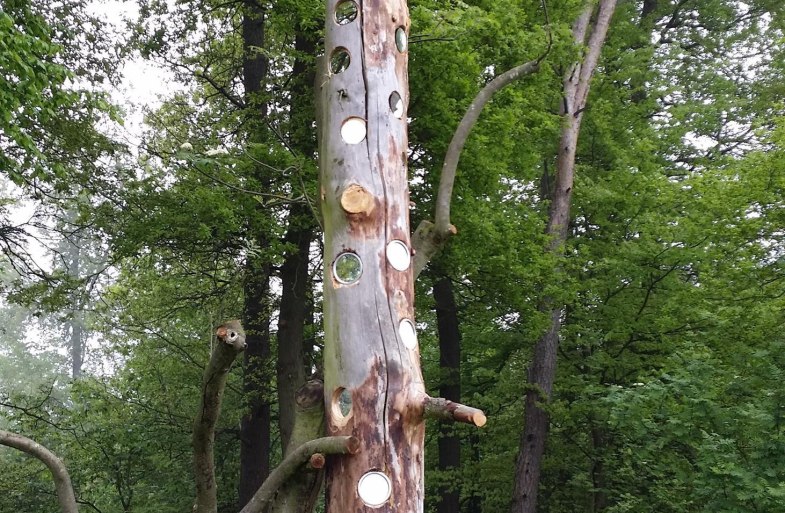 Spiegelbaum | © T. Biersch Spiegelbaum | © T. Biersch