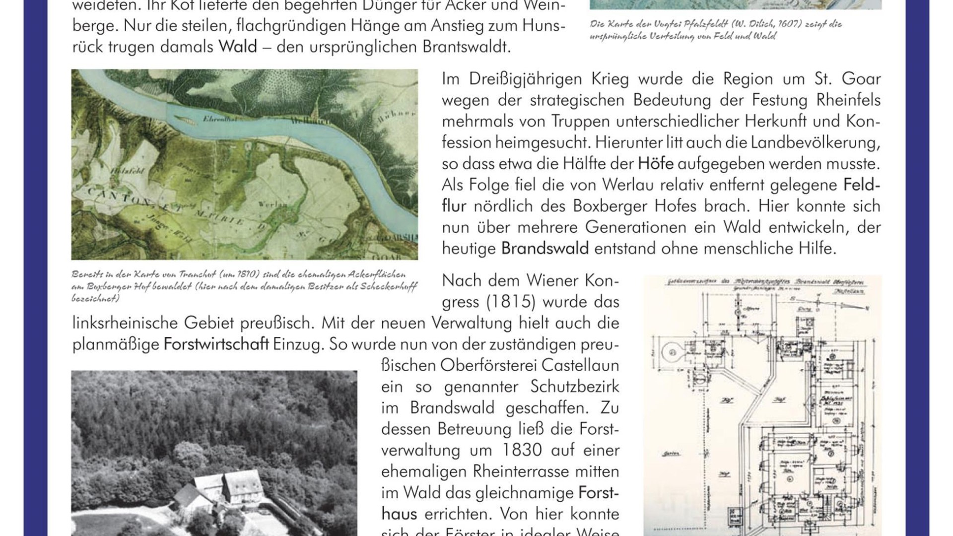 Infotafel am Forsthaus Brandswald | &copy; J. G&ouml;dert