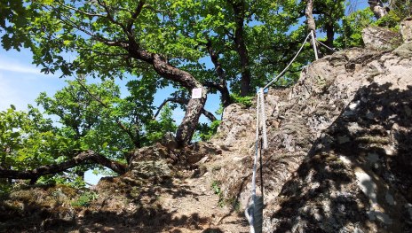Felsen "Murscher Eselsche" | © T. Biersch