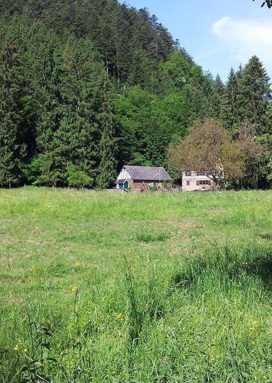 Franzenmühle | © T. Biersch