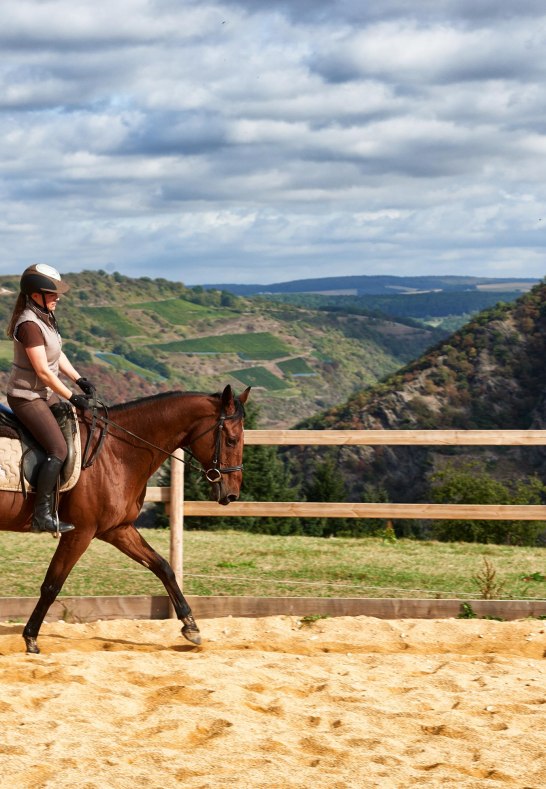 Hof.Hardthöhe.Reiten.Roundpen5 | © Hof Hardthöhe